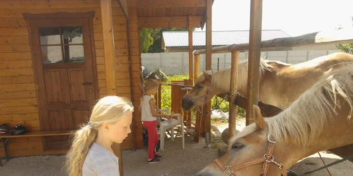 Výcviková či relaxačná jazda na koni vo vo Veľkých Bedzanoch