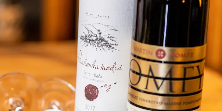 Ochutnávka vín a syrový tanier s pochutinami až 550 g v Pezinskej pivničke