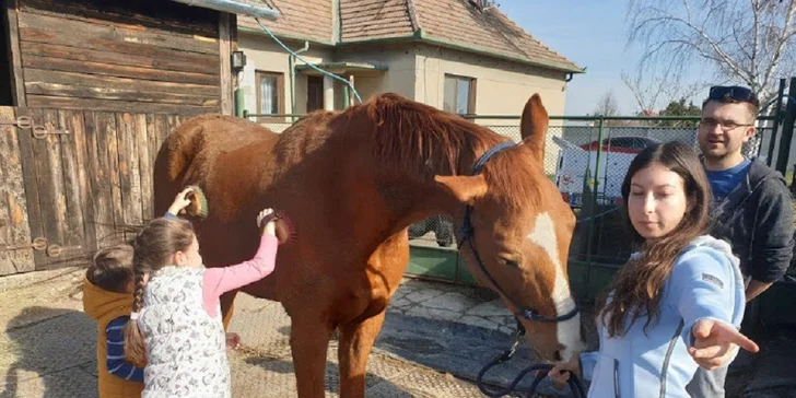 VIP Letný tábor s koňmi pre deti základných škôl