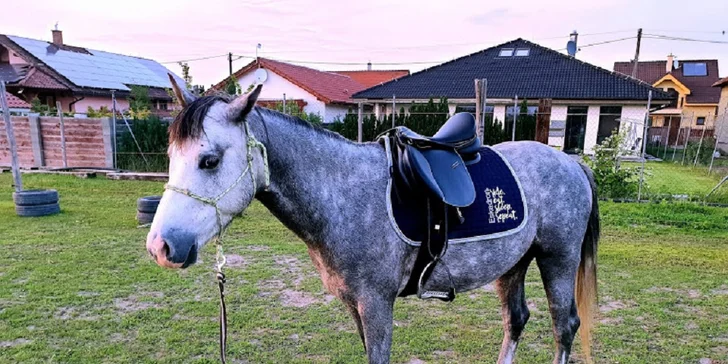 VIP Letný tábor s koňmi pre deti základných škôl