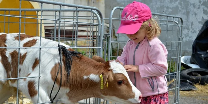 Letný tábor pre malé víly a dobrodružné slečny: LETO S KATKOU