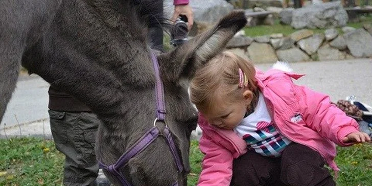 Vyhliadková jazda vláčikom Blaváčikom po Bratislave, do ZOO, na hrad Devín, na Železnú studničku