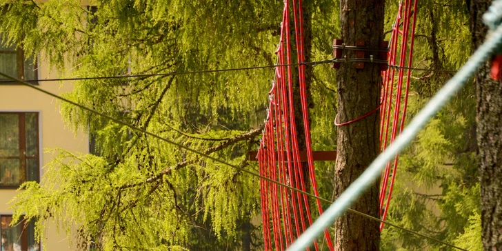 Veveričí lanový park na Štrbskom Plese - zážitok pre celú rodinu