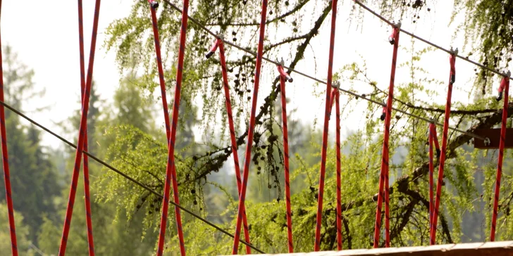 Veveričí lanový park na Štrbskom Plese - zážitok pre celú rodinu