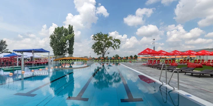 Letný wellness pobyt v Hoteli HOLIDAY INN Trnava****