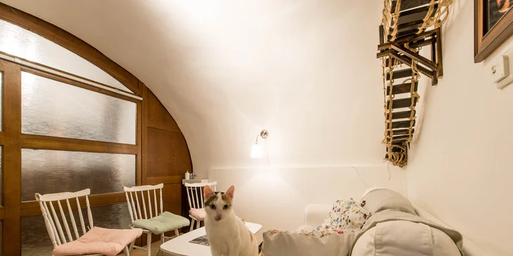 Káva alebo domáca limonáda + cheesecake v MŇAU KAFÉ