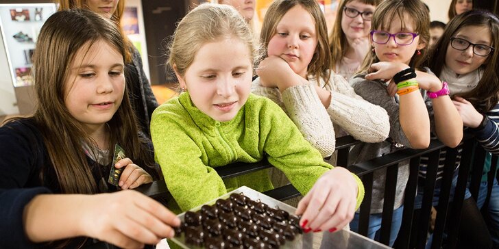 Vstup do Múzea čokolády Chocotopia pre deti, študentov i dospelých