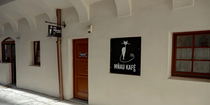 Káva alebo domáca limonáda + cheesecake v MŇAU KAFÉ