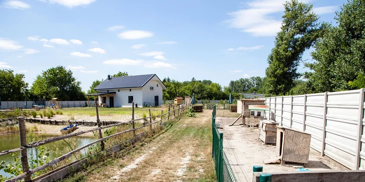 RODINNÝ VČELÍ MAJER: prehliadka majera aj jazda na poníkovi