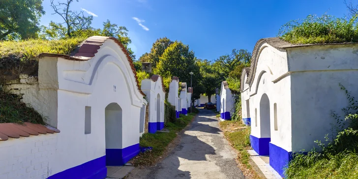 Wellness pobyt s polpenziou pre dvoch v modernom penzióne na Morave