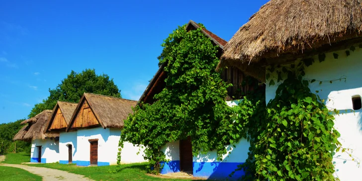 Wellness pobyt s polpenziou pre dvoch v modernom penzióne na Morave