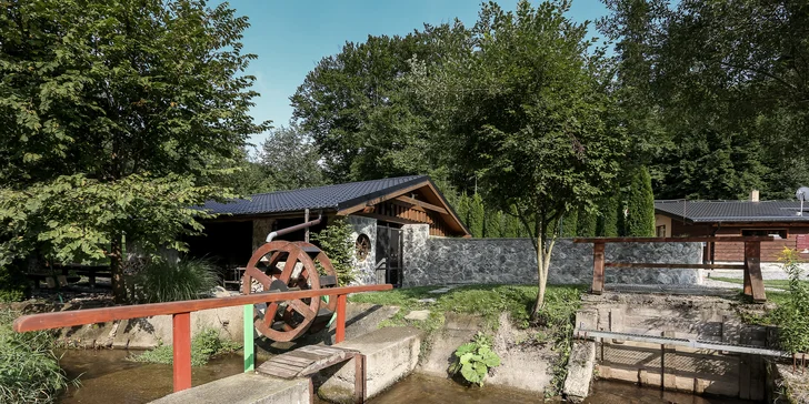 Tradičné špeciality z domácej bryndze alebo grilované rebierka