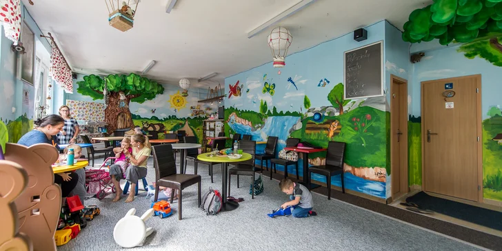 Vstup na detské ihrisko či prenájom priestorov na detské oslavy