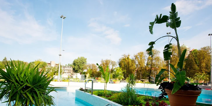 Celodenné vstupy do aquaparku Aquasziget Ostrihom