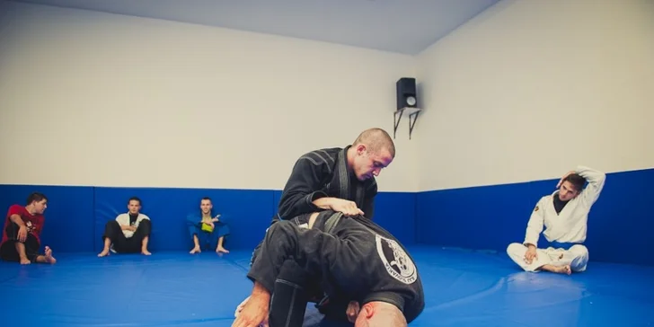 Ranné kruhové tréningy na zhadzovanie váhy, tréningy Brazílskeho jiu-jitsu a letný BJJ kemp