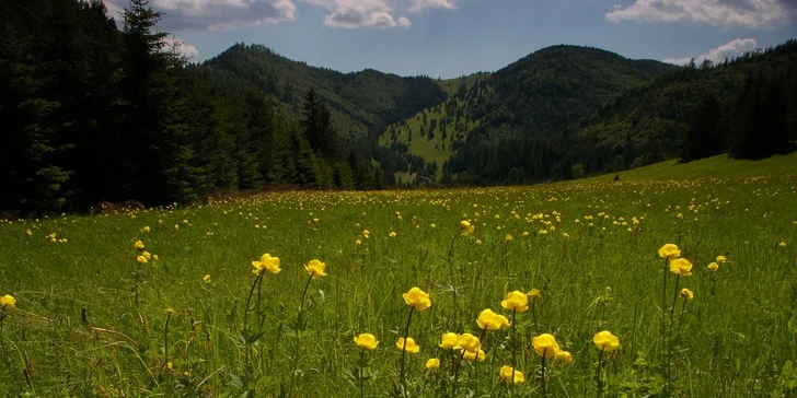 TOP výlet leta - jednodnový výlet v okolí Slovenského raja
