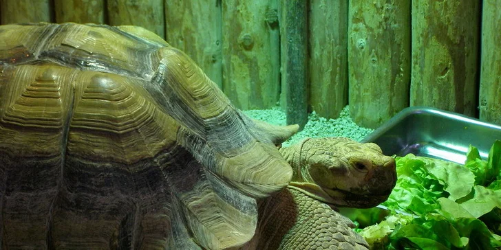 Budapešť Tropicarium a ZOO