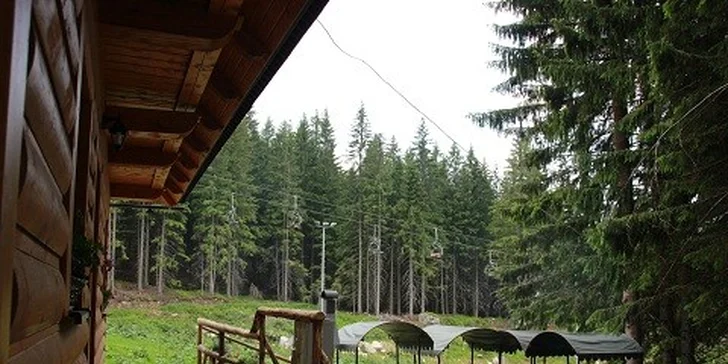 Skvelé 4 dni pre 3 osoby v apartmáne v Nízkych Tatrách