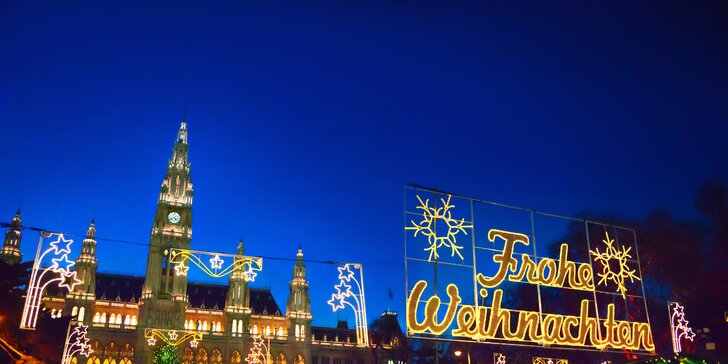 Zimná krása Viedne - prehliadka mesta s vianočnými trhmi