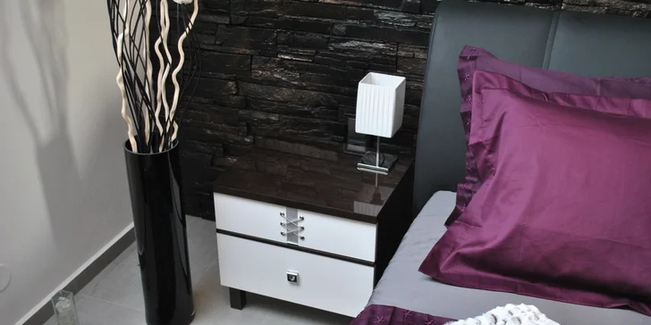 Pobyt v modernom apartmáne na juhu Moravy - raňajky, wellness a možnosť jazdy na exkluzívnom aute