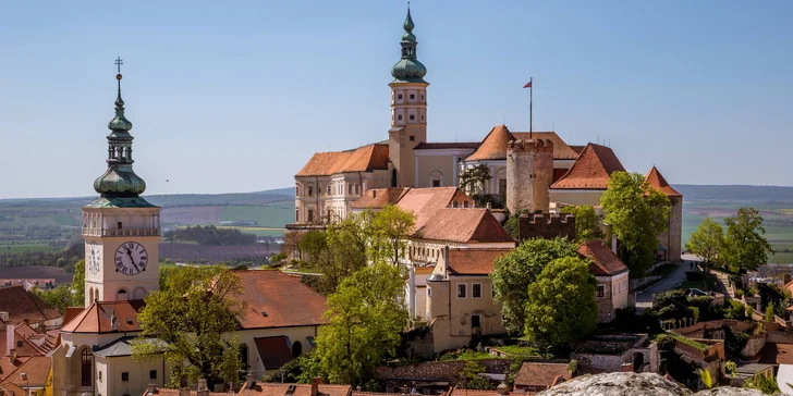 Ubytovanie v penzióne Zaječák pri Pálave - raňajky alebo polpenzia a degustácia vína