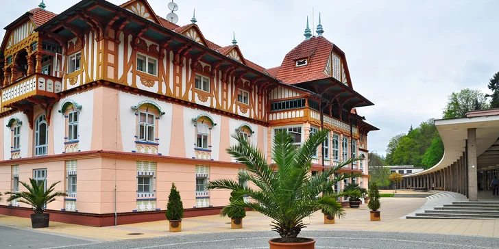 Moderne zariadené apartmány vo Ville Marion - kúpeľné mestečko, raňajky a vstup do wellness