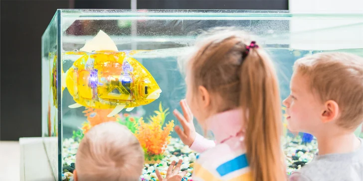Vstupenka na medzinárodnú interaktívnu výstavu Mesto Robotov pre veľkých aj malých