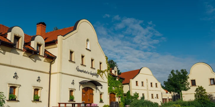 Wellness pobyt na Južnej Morave - degustácia vína a chutná polpenzia