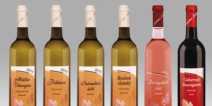 Relax pri Pálave - pobyt na južnej Morave s wellness a polpenziou