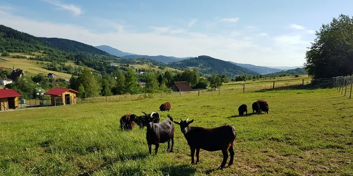 Za aktívnym odpočinkom do poľských hôr: raňajky či polpenzia, wellness a zľava na skipas