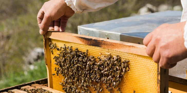 Jedinečný včelársky zážitok na včelej farme MaryBee!