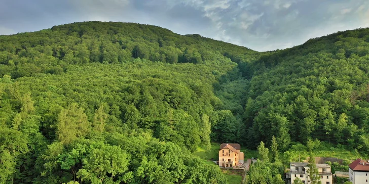 Romantický wellness pobyt vo Ville Carpe Diem*** v Trenčianskych Tepliciach
