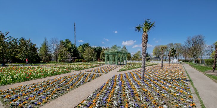 Jednodňový zájazd do Viedne - výstava kvetov a návšteva Primarku