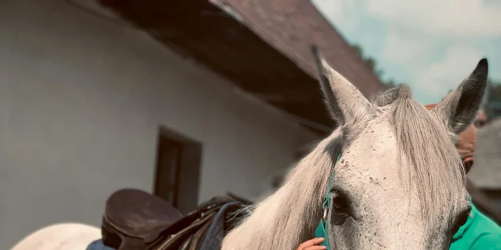 Užite si romantickú jazdu kočom alebo vyskúšajte školu jazdenia