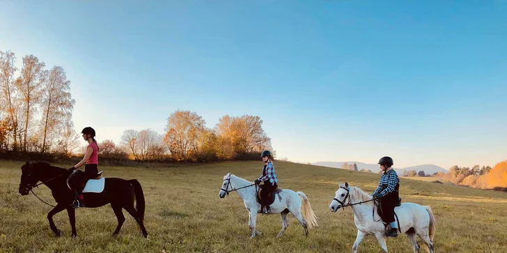 Užite si romantickú jazdu kočom alebo vyskúšajte školu jazdenia