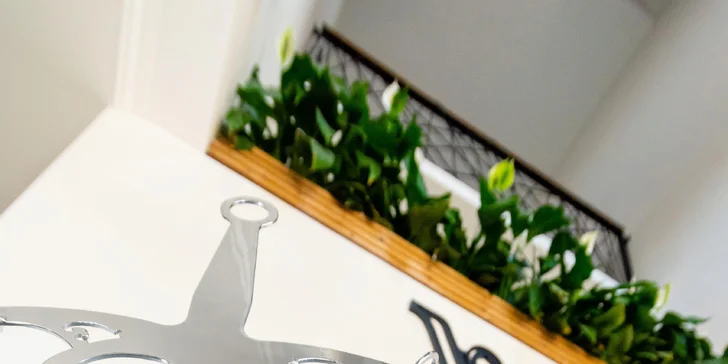 Božský oddych s wellness v modernom prostredí penziónu Villa La Via***