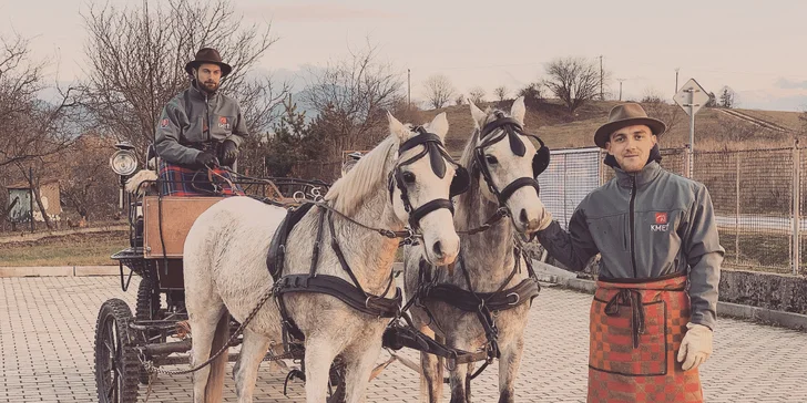 Užite si romantickú jazdu kočom alebo vyskúšajte školu jazdenia