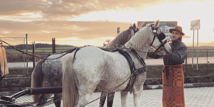 Užite si romantickú jazdu kočom alebo vyskúšajte školu jazdenia