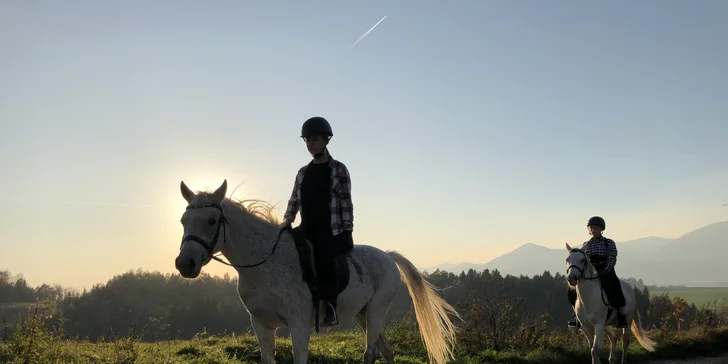 Užite si romantickú jazdu kočom alebo vyskúšajte školu jazdenia