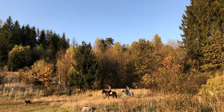 Užite si romantickú jazdu kočom alebo vyskúšajte školu jazdenia