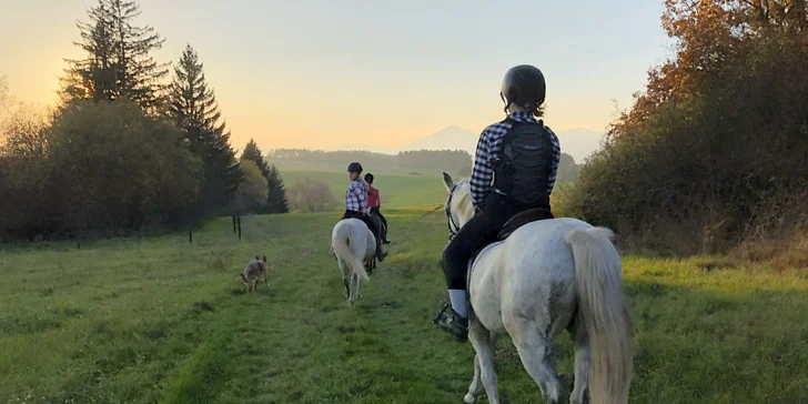 Užite si romantickú jazdu kočom alebo vyskúšajte školu jazdenia