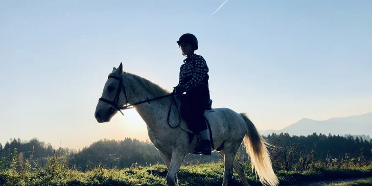 Užite si romantickú jazdu kočom alebo vyskúšajte školu jazdenia