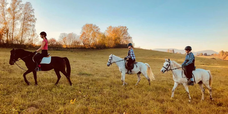 Užite si romantickú jazdu kočom alebo vyskúšajte školu jazdenia