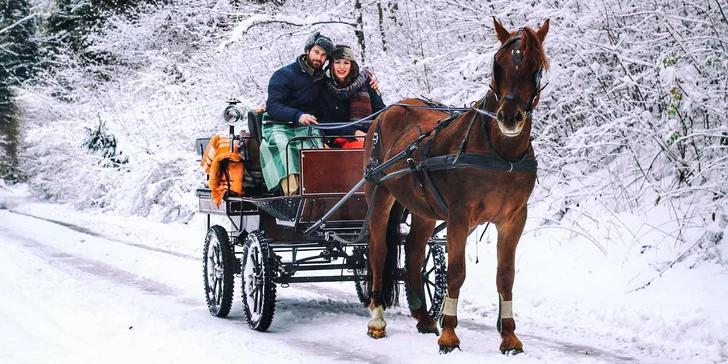 Užite si romantickú jazdu kočom alebo vyskúšajte školu jazdenia