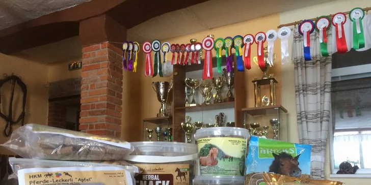 Jazdecké kurzy vrátane teórie pre deti a dospelých, ukončené diplomom a medailou