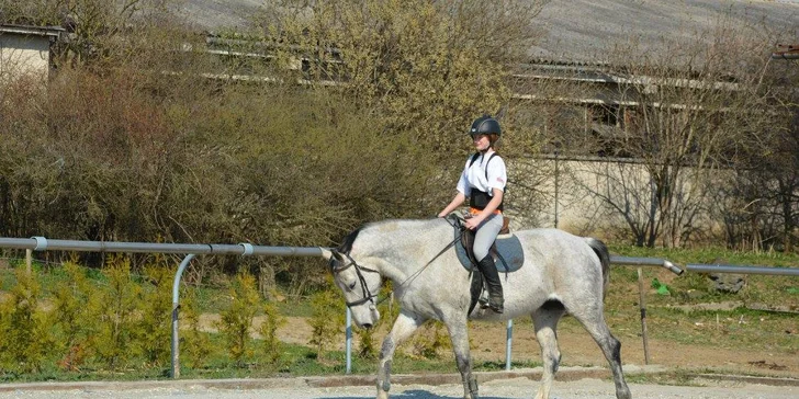 Jazdecké kurzy vrátane teórie pre deti a dospelých, ukončené diplomom a medailou