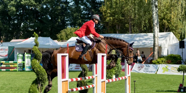 Jazdecké kurzy vrátane teórie pre deti a dospelých, ukončené diplomom a medailou