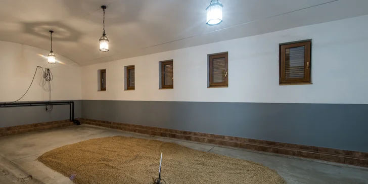 Prehliadka expozície Nestville Distillery aj s degustáciou prvej slovenskej whisky!