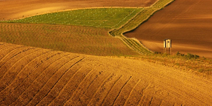 Moravské Toskánsko: pobyt vo vínnej pivničke s ubytovaním až pre 8 osôb