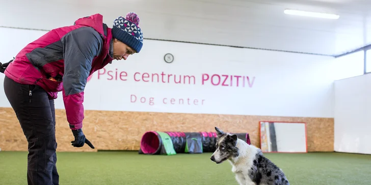 Absolvujte základný výcvik a zistite, ako pochopiť svojho psa!